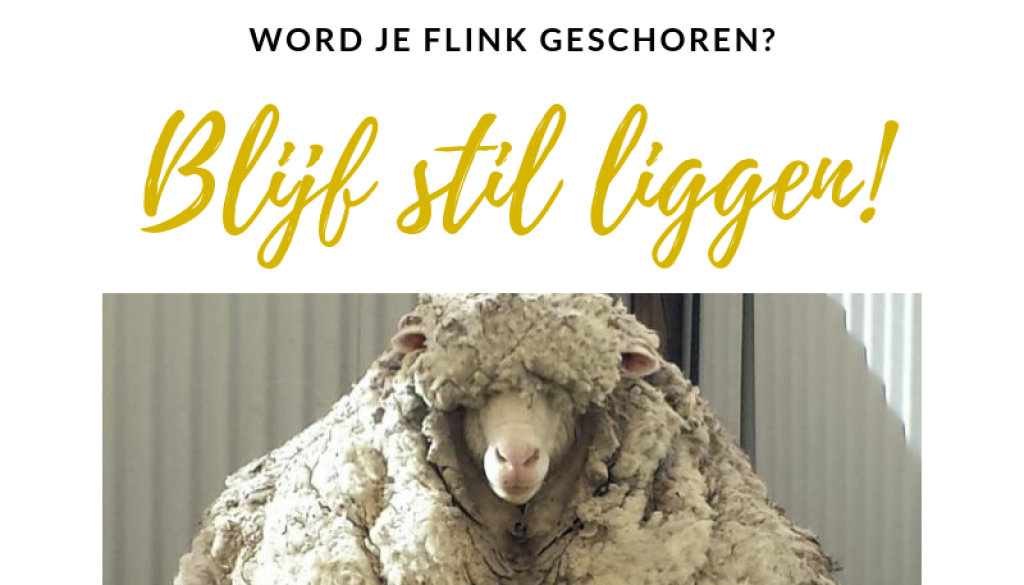 Wordt-je-flink-geschoren-leonie-set-yourself-free