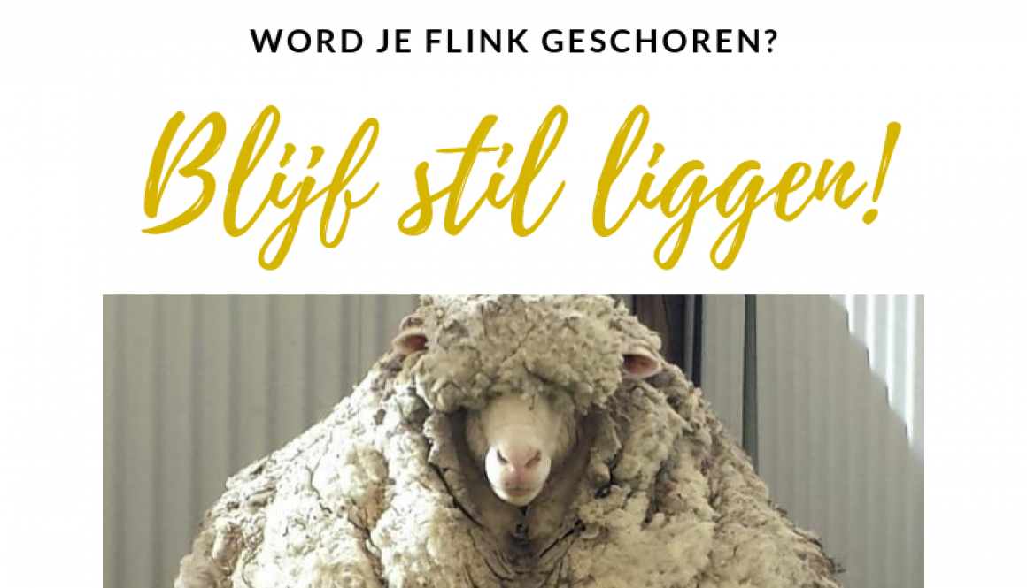 Wordt-je-flink-geschoren-leonie-set-yourself-free