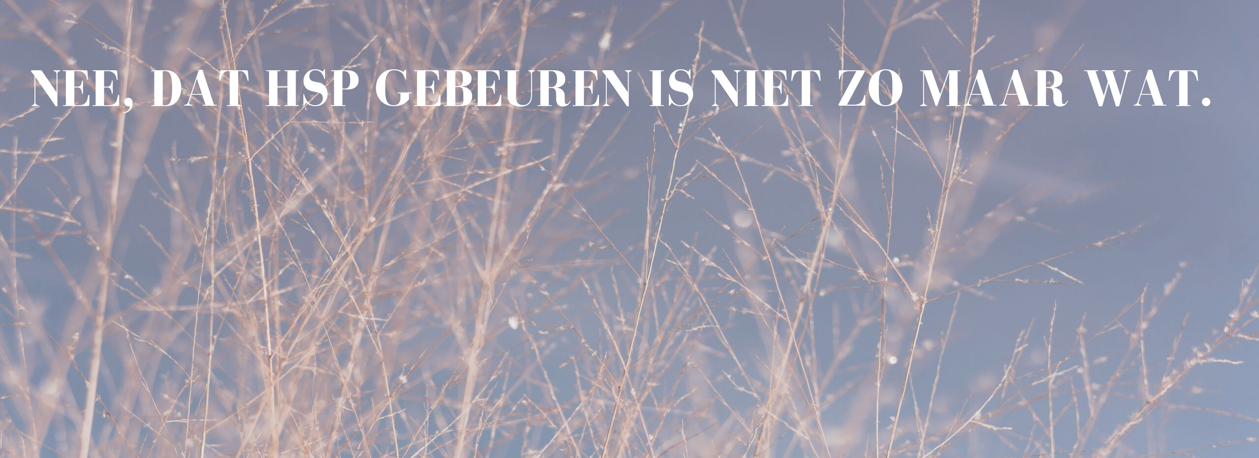 balk met HSP tekst 1
